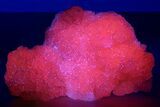 Superb Manganoan Calcite Crystal Cluster - Highly Fluorescent! #347661-1